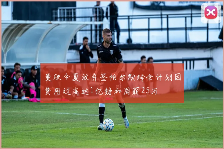 曼联今夏放弃签帕尔默转会计划因费用过高达1亿镑加周薪25万