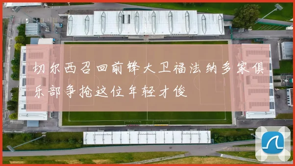 切尔西召回前锋大卫福法纳多家俱乐部争抢这位年轻才俊